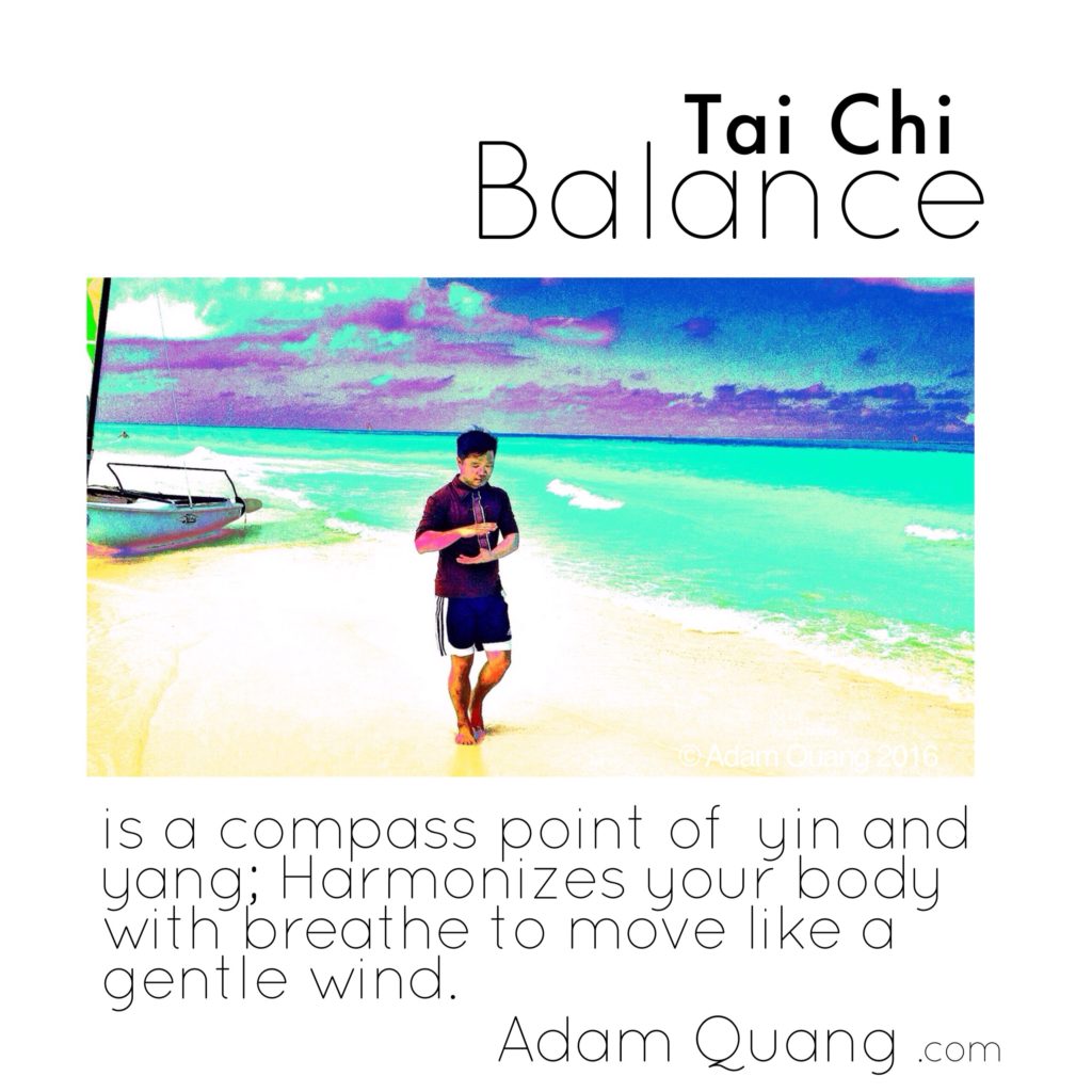 Adam Quang - Tai Chi - Balance - IMG_1418